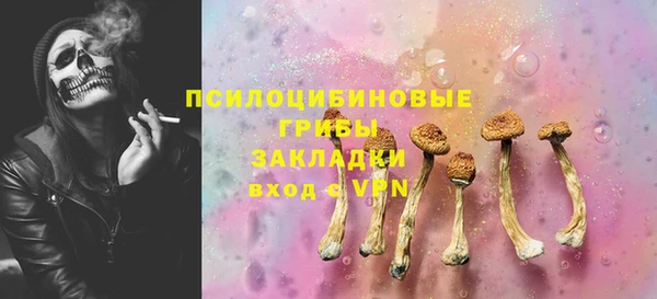 spice Осташков