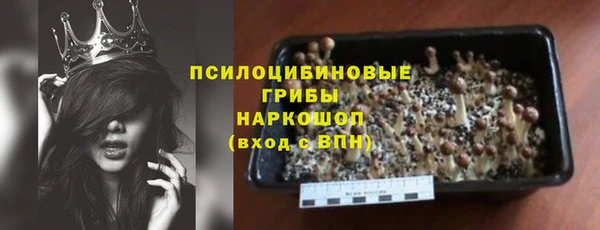 spice Осташков