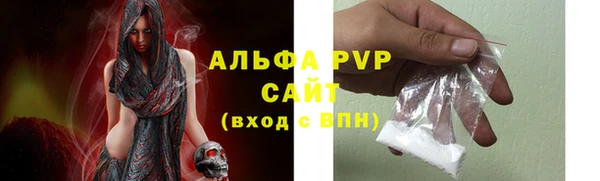 ECSTASY Осинники