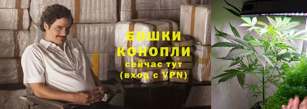 альфа пвп Гвардейск